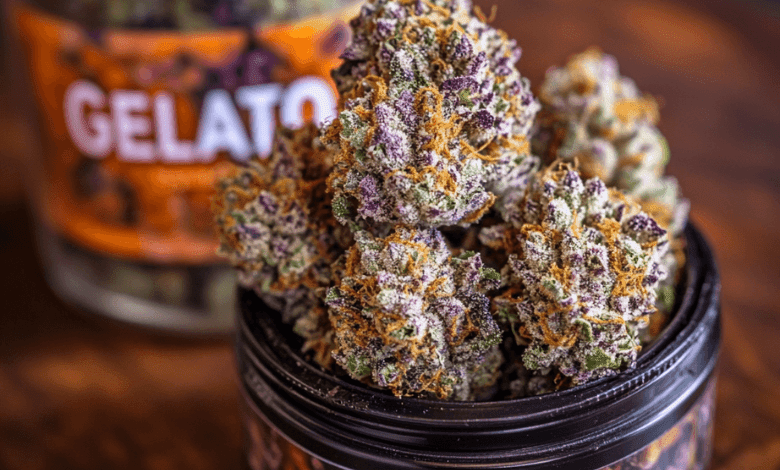 Gelato THC Weed In Dubai
