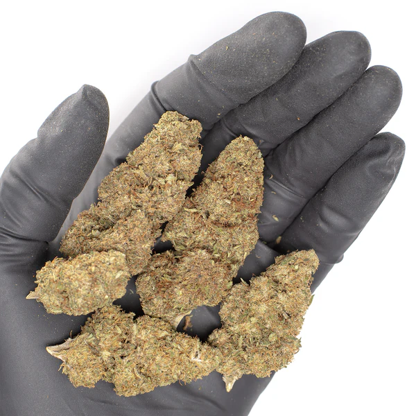 Buy Weed in Dubai
