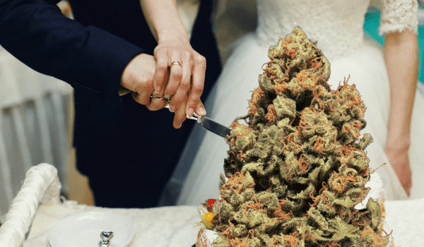Wedding Cake THC Weed In Dubai