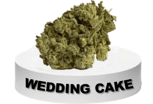 Wedding Cake THC Weed In Dubai