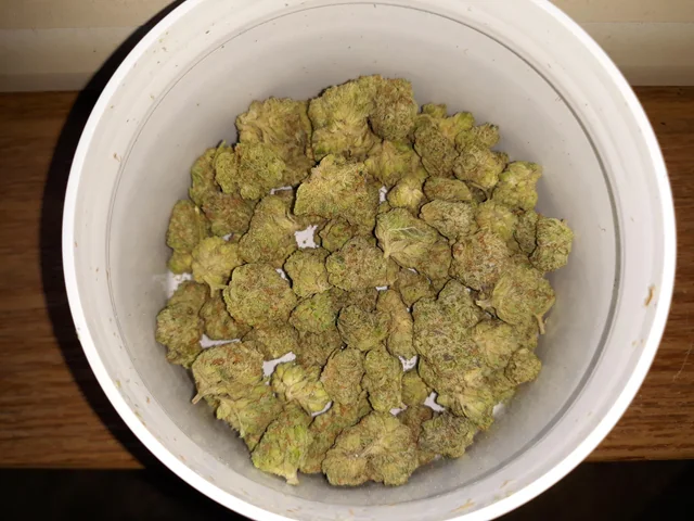 Runtz THC Weed In Dubai